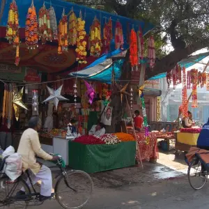 Explore Absolutely India for 7 days with Eskapas and discover unforgettable experiences - Photo 7