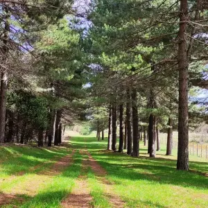 Explore Etna – Cefalù e-bike tour for 7 days with Etna Bike Tours and discover unforgettable experiences - Photo 3