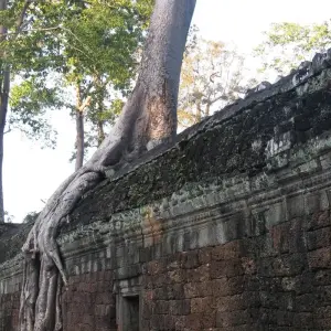 Explore 2 Days Angkor Archaeological Site Group Tour for 2 days with Euro Khmer Voyages and discover unforgettable experiences - Photo 4