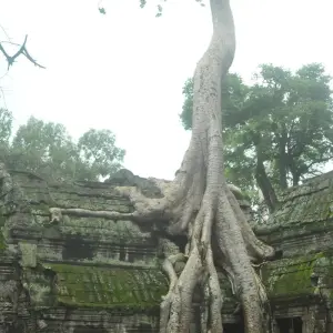 Explore Experience at Cambodia for 7 days with Euro Khmer Voyages and discover unforgettable experiences - Photo 9