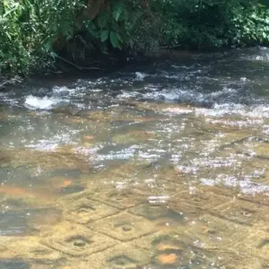 Explore Angkorian & Phnom Kulen National Park for 4 days with Euro Khmer Voyages and discover unforgettable experiences - Photo 8