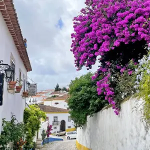 Explore Porto - Lisbon Atlantic, Tradition and Romance for 12 days with Eurobike and discover unforgettable experiences - Photo 2