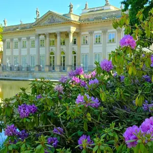 Explore Warsaw, Poland for 4 days with Euroadventures and discover unforgettable experiences - Photo 9