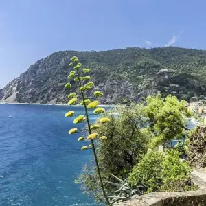Explore 7 Days Northern Lakes and Italian Riviera Tour - from Milan for 7 days with Europeando Europa and discover unforgettable experiences - Photo 4