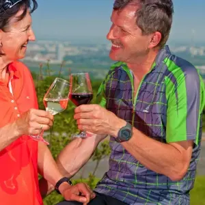 Explore Danube Cycle Path 8/7 for 8 days with Eurobike and discover unforgettable experiences - Photo 4