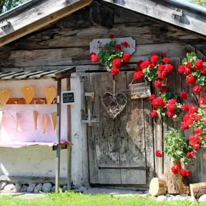 Explore Panoramic Tour - based in one hotel for 8 days with Eurobike and discover unforgettable experiences - Photo 4