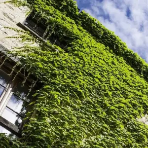 Explore 4 Days French Coast Tour – from Milan for 4 days with Europeando Europa and discover unforgettable experiences - Photo 6