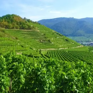 Explore Danube Cycle Path 8/7 for 8 days with Eurobike and discover unforgettable experiences - Photo 5