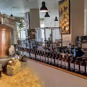 Explore 7 Days Italian Riviera and French Coast Tour - from Milan for 7 days with Europeando Europa and discover unforgettable experiences - Photo 8