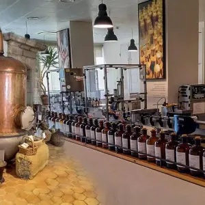 Explore 4 Days French Coast Tour – from Milan for 4 days with Europeando Europa and discover unforgettable experiences - Photo 8