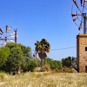 Explore Majorca Loop Tour for 8 days with Eurobike and discover unforgettable experiences - Photo 4