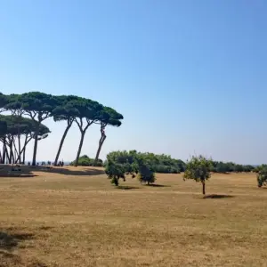Explore Tuscany Coastline for 7 days with Eurobike and discover unforgettable experiences - Photo 3