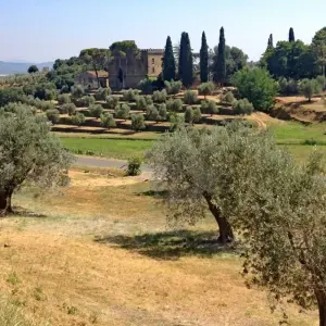 Explore Tuscany Coastline for 7 days with Eurobike and discover unforgettable experiences - Photo 5