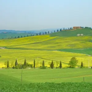 Explore Pisa - Florence for 7 days with Eurobike and discover unforgettable experiences - Photo 6