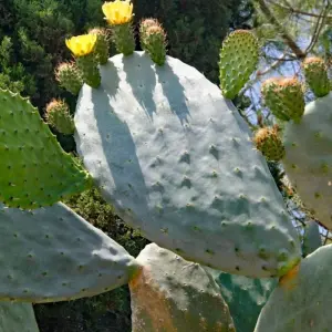 Explore Majorca Loop Tour for 8 days with Eurobike and discover unforgettable experiences - Photo 9