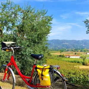 Explore Pisa - Florence for 7 days with Eurobike and discover unforgettable experiences - Photo 11