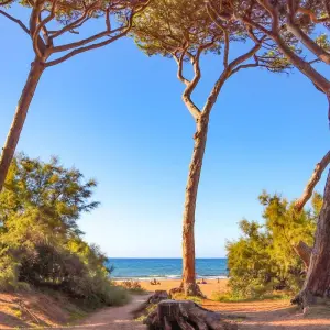 Explore Tuscany Coastline for 7 days with Eurobike and discover unforgettable experiences - Photo 11