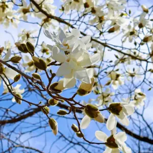 Explore Munich Lakes 9/8 for 9 days with Eurobike and discover unforgettable experiences - Photo 5