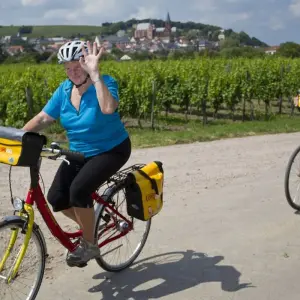 Explore Pfalz Wine Tour based in one hotel 7/6 for 7 days with Eurobike and discover unforgettable experiences - Photo 3