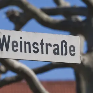 Explore Rhine Romance - Speyer, Heidelberg, Worms 6/5 for 6 days with Eurobike and discover unforgettable experiences - Photo 5