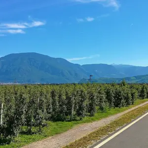 Explore Meran - Lake Garda 7/6 for 7 days with Eurobike and discover unforgettable experiences - Photo 3