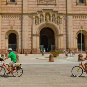 Explore Neckar, Rhine & Vines for 8 days with Eurobike and discover unforgettable experiences - Photo 8