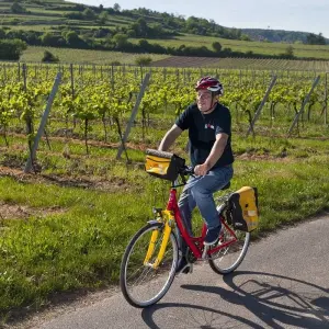 Explore Rhine Romance - Speyer, Heidelberg, Worms 6/5 for 6 days with Eurobike and discover unforgettable experiences - Photo 8