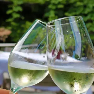 Explore Pfalz Wine Tour based in one hotel 7/6 for 7 days with Eurobike and discover unforgettable experiences - Photo 10