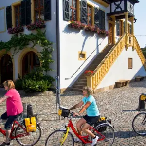Explore Rhine Romance - Speyer, Heidelberg, Worms 7/6 for 7 days with Eurobike and discover unforgettable experiences - Photo 9