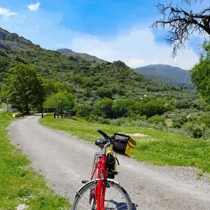 Explore Andalusia for 8 days with Eurobike and discover unforgettable experiences - Photo 9