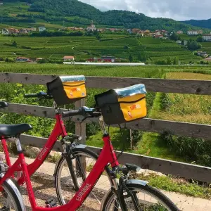 Explore Lake Reschen - Lake Garda 7/6 for 7 days with Eurobike and discover unforgettable experiences - Photo 2
