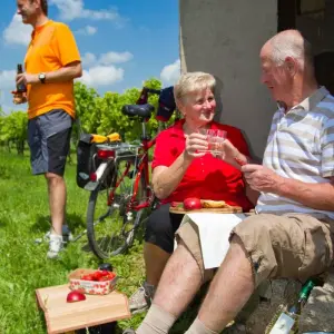 Explore Rhine Romance - Speyer, Heidelberg, Worms 7/6 for 7 days with Eurobike and discover unforgettable experiences - Photo 11