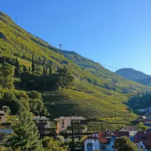 Explore South Tyrol based in one hotel 7/6 for 7 days with Eurobike and discover unforgettable experiences - Photo 9