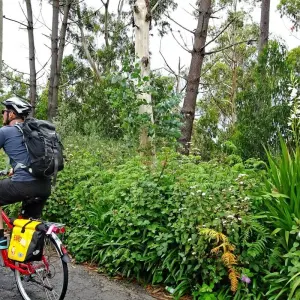 Explore Madeira Loop Tour 8/7 for 8 days with Eurobike and discover unforgettable experiences - Photo 3