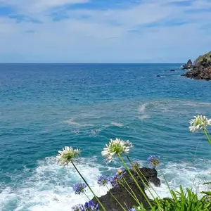 Explore Madeira Loop Tour 8/7 for 8 days with Eurobike and discover unforgettable experiences - Photo 4