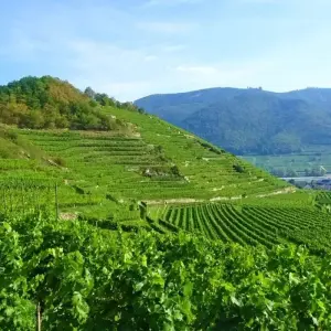Explore Danube Cycle Path Shortened, Passau to Vienna for 6 days with Eurobike and discover unforgettable experiences - Photo 3