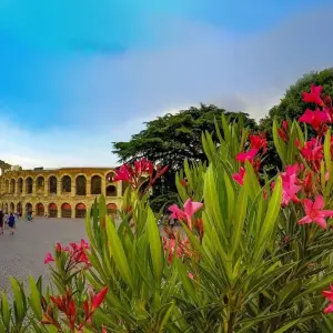 Explore Lake Reschen - Verona with charm 8/7 for 8 days with Eurobike and discover unforgettable experiences - Photo 9