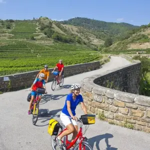 Explore Danube Cycle Path Shortened, Passau to Vienna for 6 days with Eurobike and discover unforgettable experiences - Photo 9