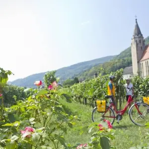 Explore Danube Cycle Path Shortened, Passau to Vienna for 6 days with Eurobike and discover unforgettable experiences - Photo 10