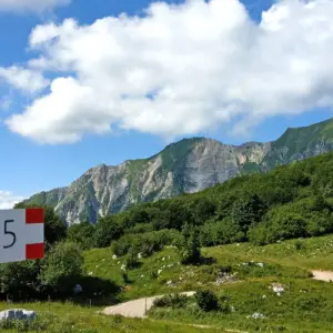 Explore Friuli - From the Julian Alps to the Sea for 8 days with Eurohike and discover unforgettable experiences - Photo 2