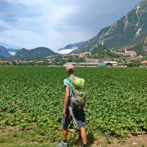 Explore Friuli - From the Julian Alps to the Sea for 8 days with Eurohike and discover unforgettable experiences - Photo 5