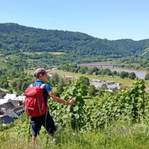 Explore Moselsteig Trail with Charm for 8 days with Eurohike and discover unforgettable experiences - Photo 10