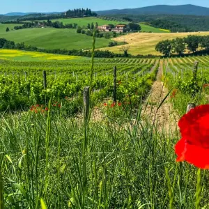 Explore Umbria – The Green Heart of Italy for 8 days with Eurohike and discover unforgettable experiences - Photo 2