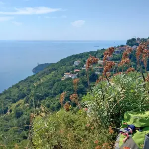 Explore Friuli - From the Julian Alps to the Sea for 8 days with Eurohike and discover unforgettable experiences - Photo 11