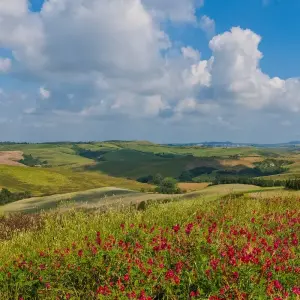 Explore Umbria – The Green Heart of Italy for 8 days with Eurohike and discover unforgettable experiences - Photo 3