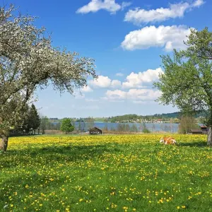 Explore From Lake Starnberg to Garmisch for 4 days with Eurohike and discover unforgettable experiences - Photo 5