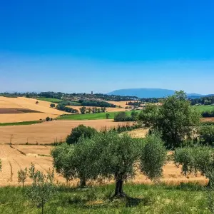 Explore Umbria – The Green Heart of Italy for 8 days with Eurohike and discover unforgettable experiences - Photo 5