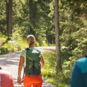 Explore From Lake Starnberg to Garmisch for 4 days with Eurohike and discover unforgettable experiences - Photo 7