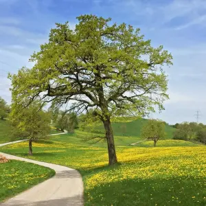 Explore From Lake Starnberg to Garmisch for 4 days with Eurohike and discover unforgettable experiences - Photo 10