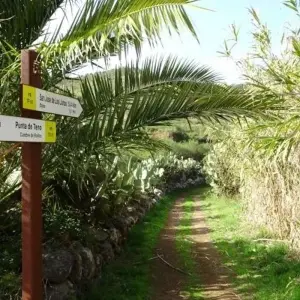 Explore Walking Paradise Tenerife for 8 days with Eurohike and discover unforgettable experiences - Photo 2